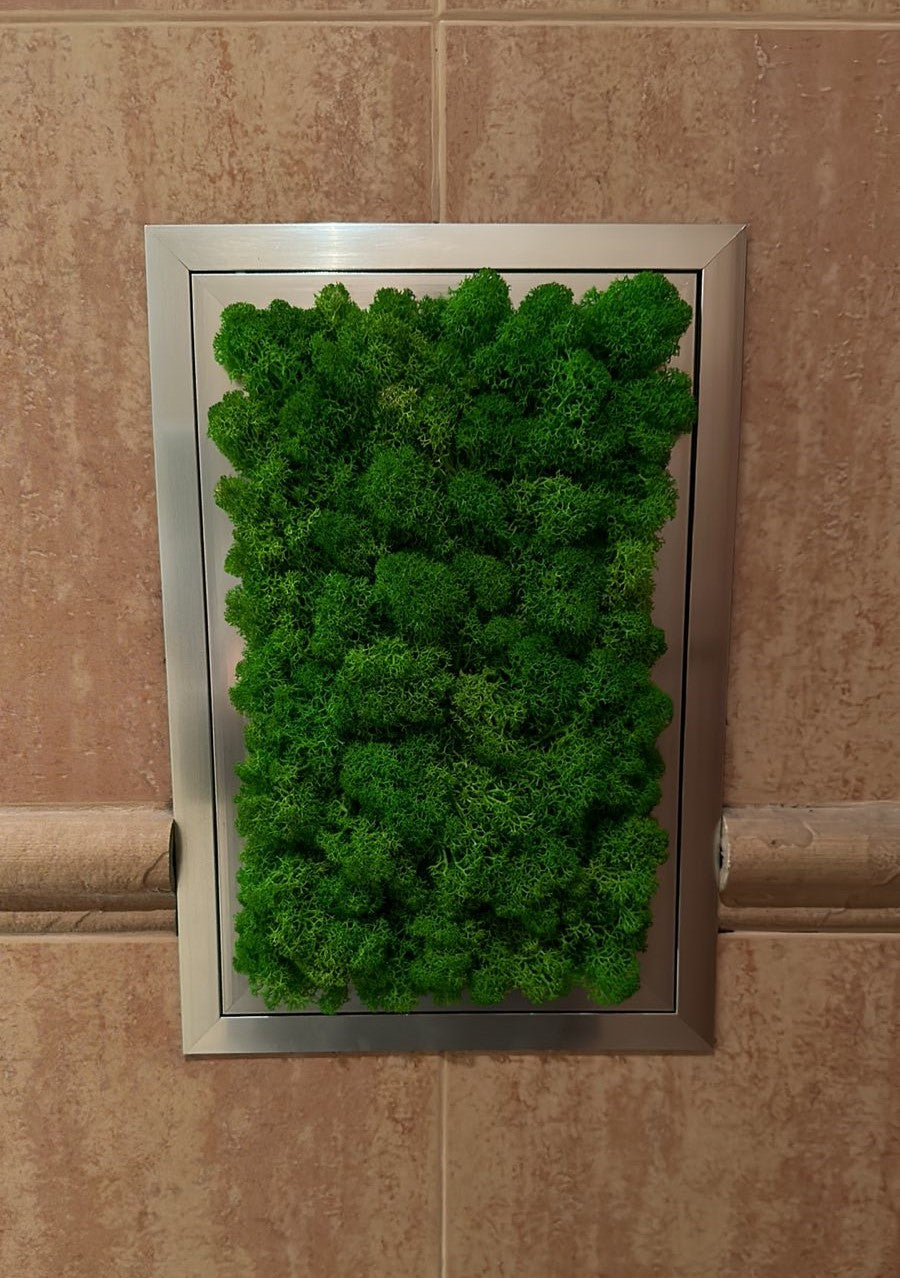 Access Panel / Inspection door with Double visible Frames